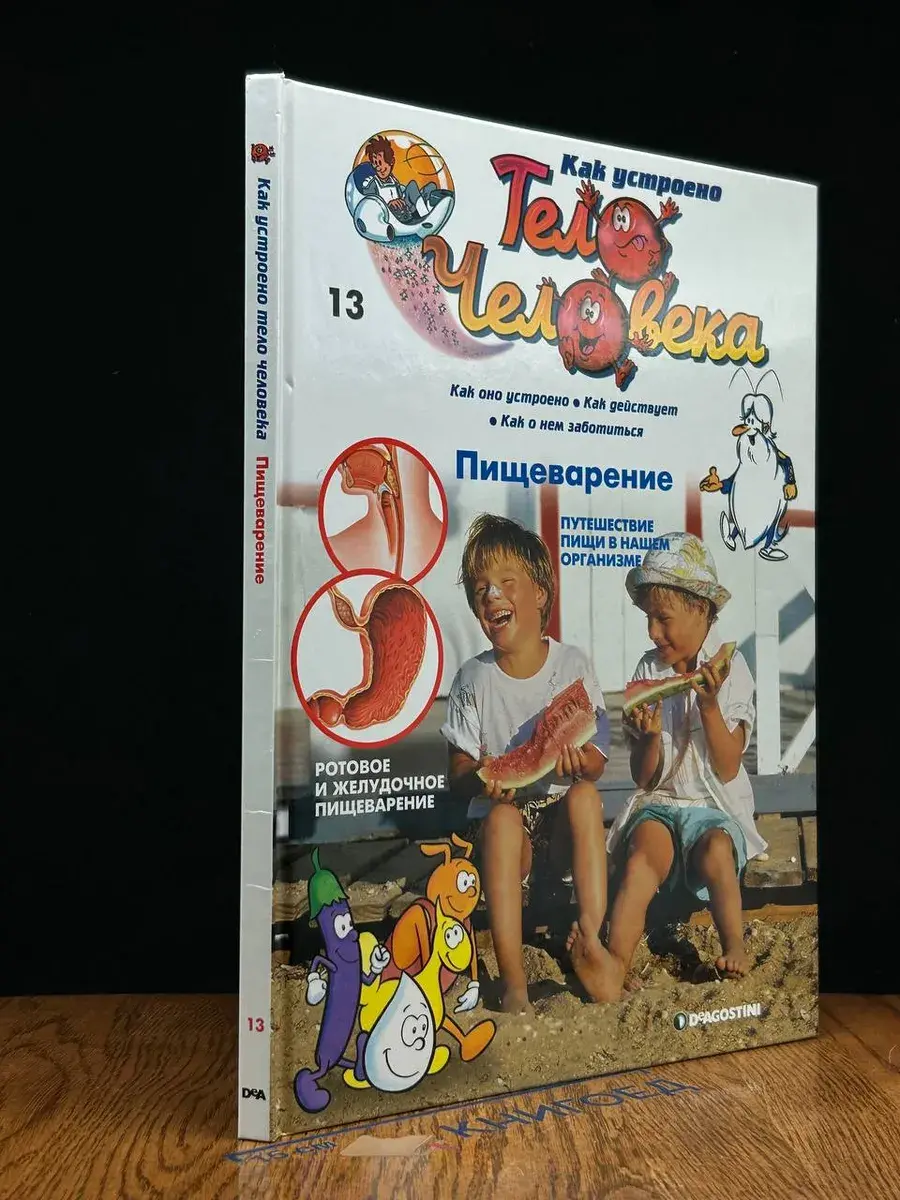 Как устроено тело человека. Выпуск 13. Пищеварение