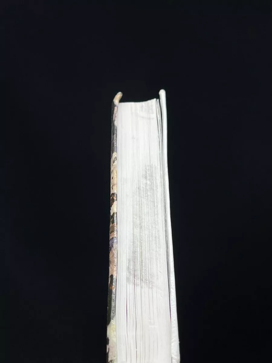 Фото 4