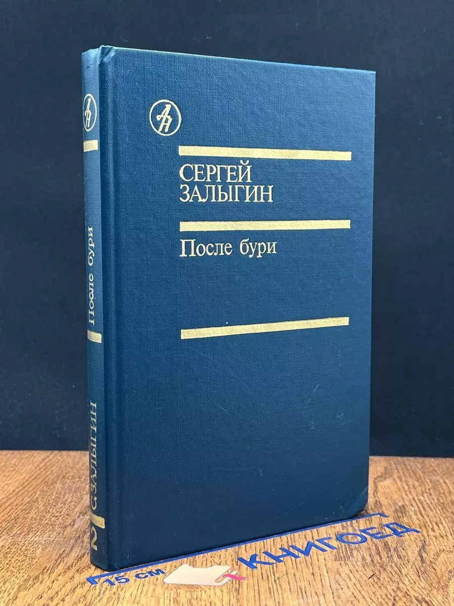 После бури. Книга 2
