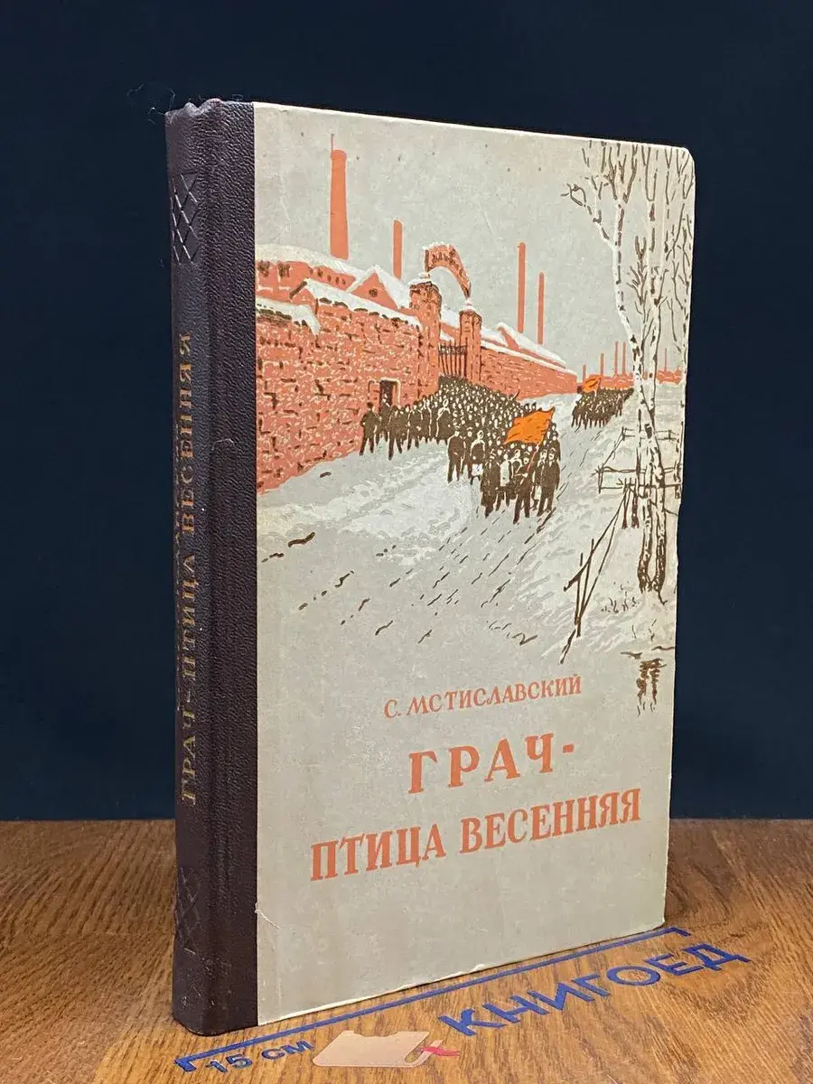 Грач - птица весенняя