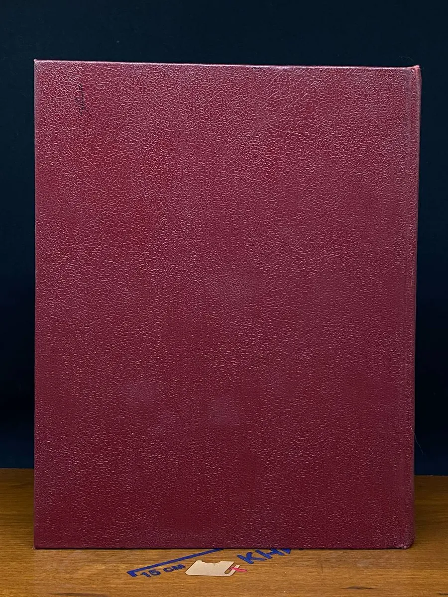 Фото 6