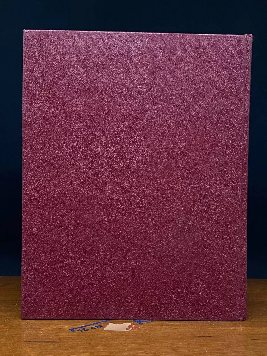 Фото 6