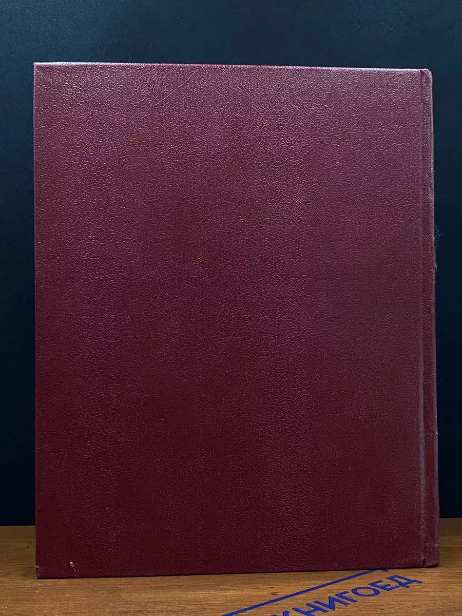 Фото 6