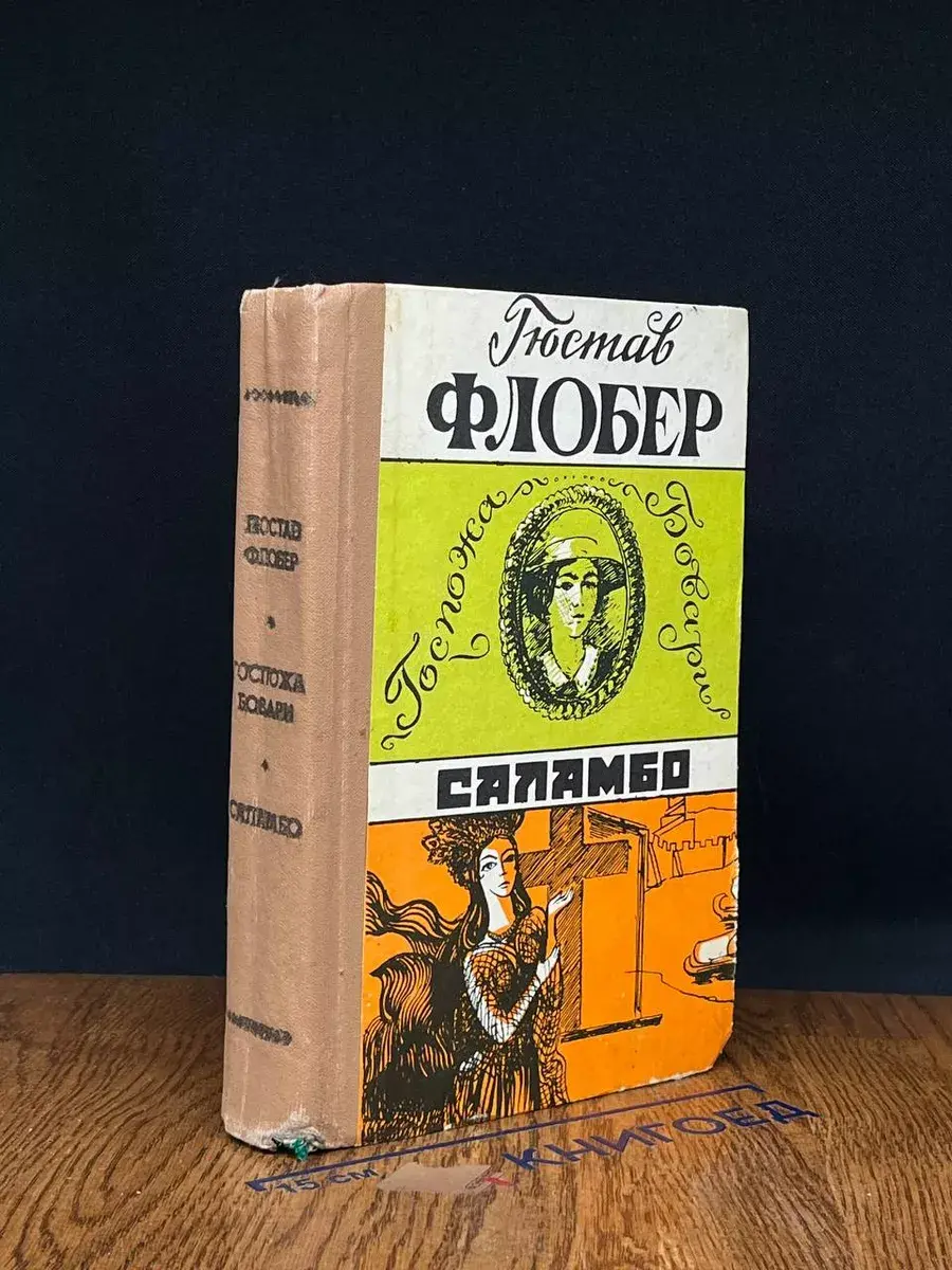 Госпожа Бовари. Саламбо