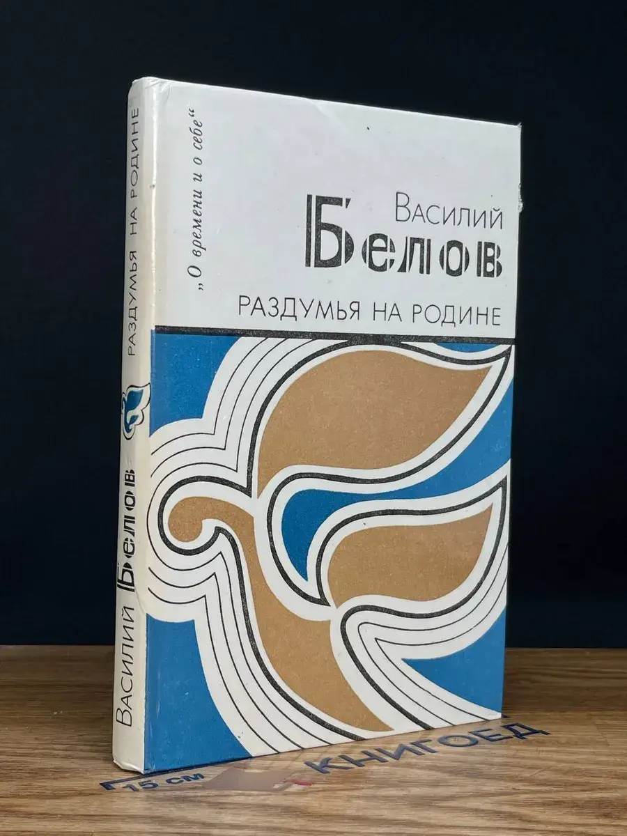 Раздумья на Родине