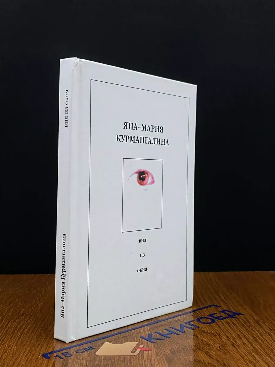 Вид из окна