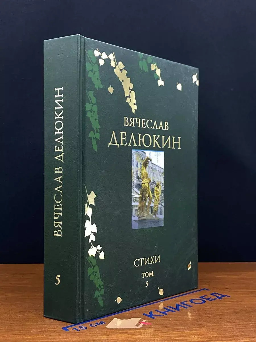 В. Делюкин. Поэтическое путешествие . Том 5