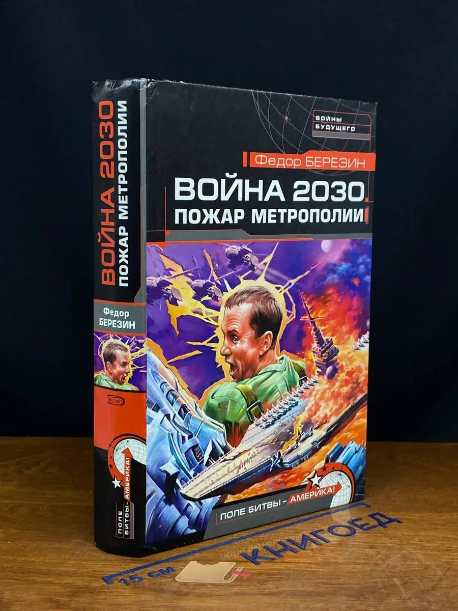 Война 2030. Пожар Метрополии