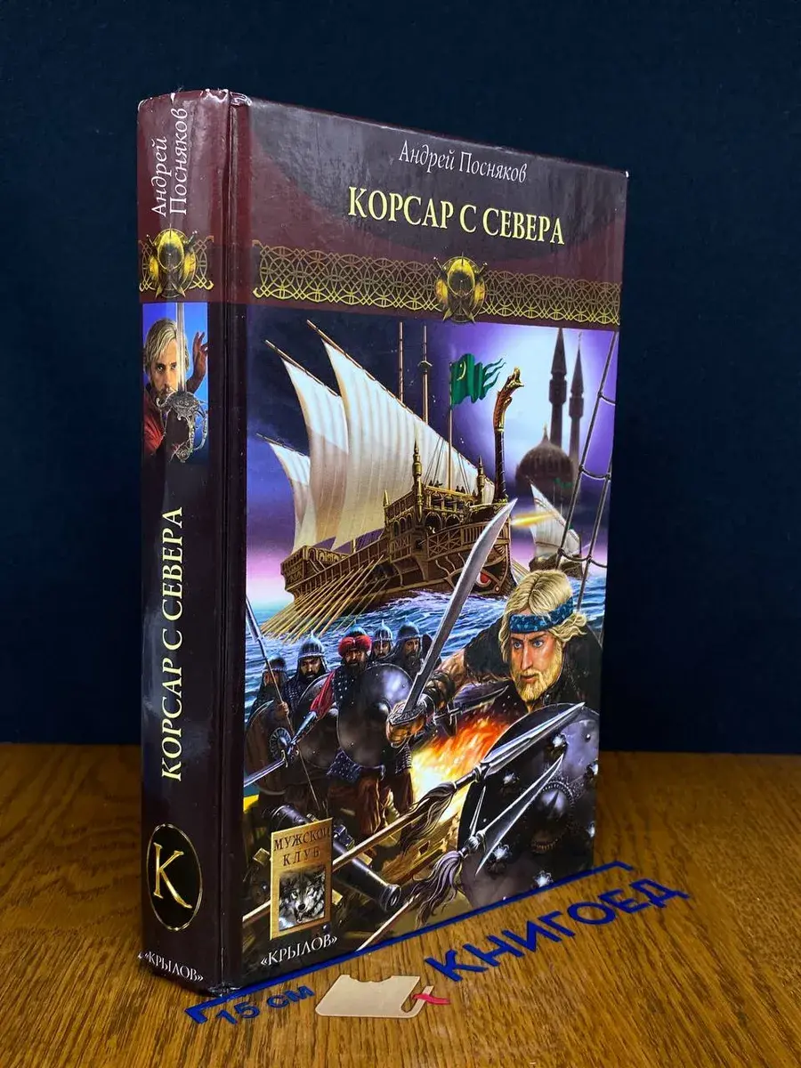 Новгородская сага. Книга 3. Корсар с Севера