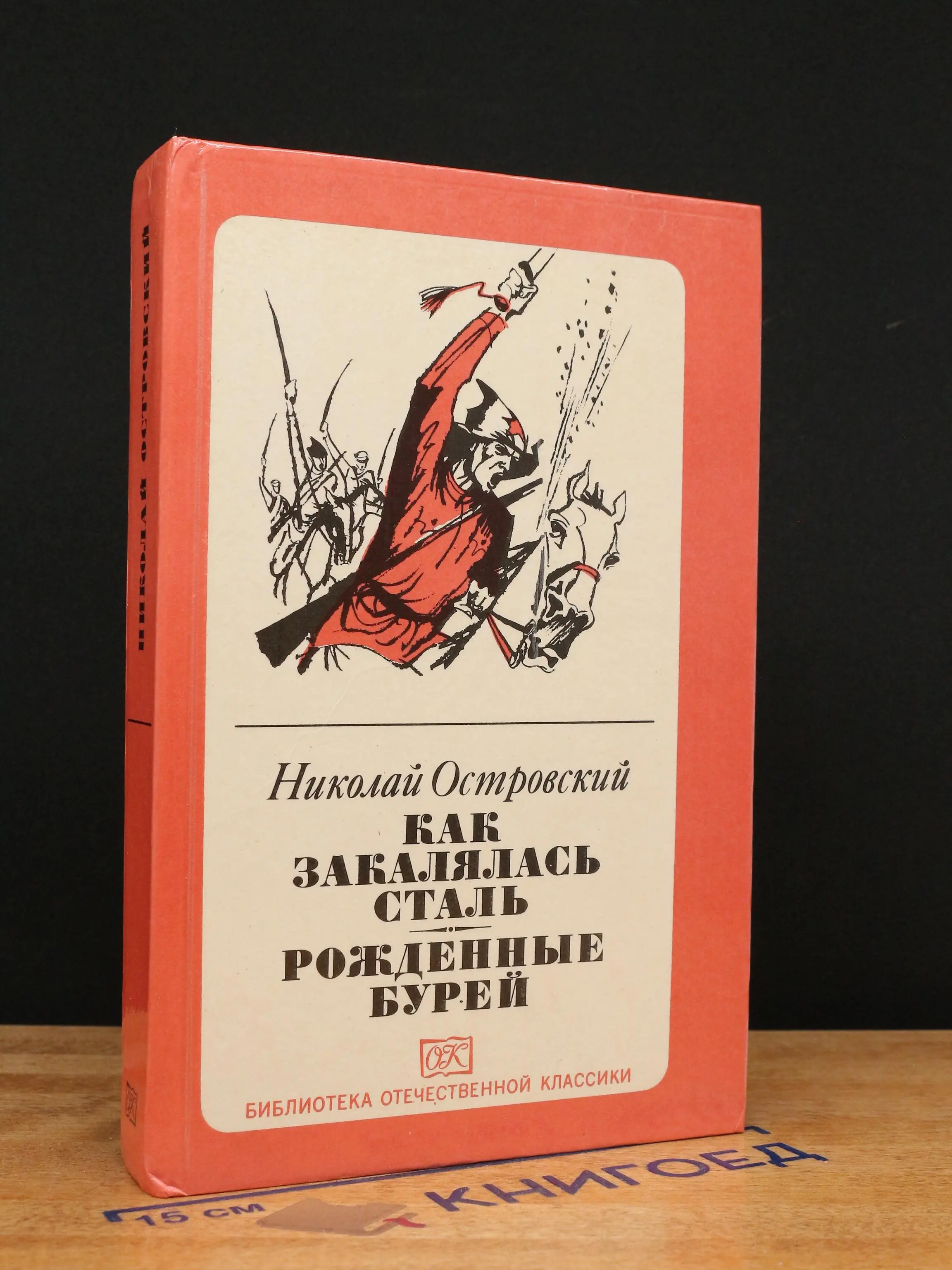 Книга Как закалялась сталь. Рожденные бурей