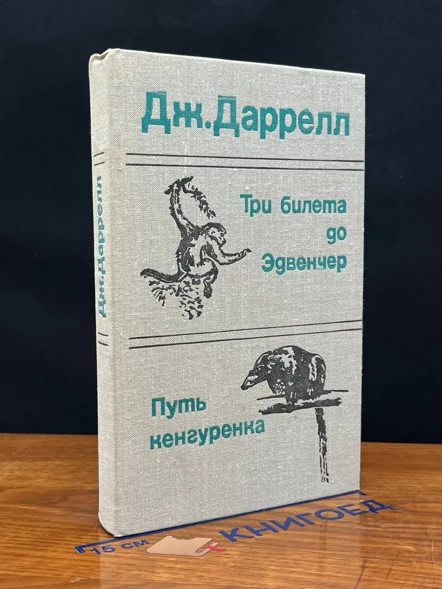 Три билета до Эдвенчер. Путь кенгуренка