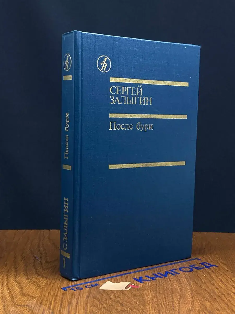 После бури. Книга 1