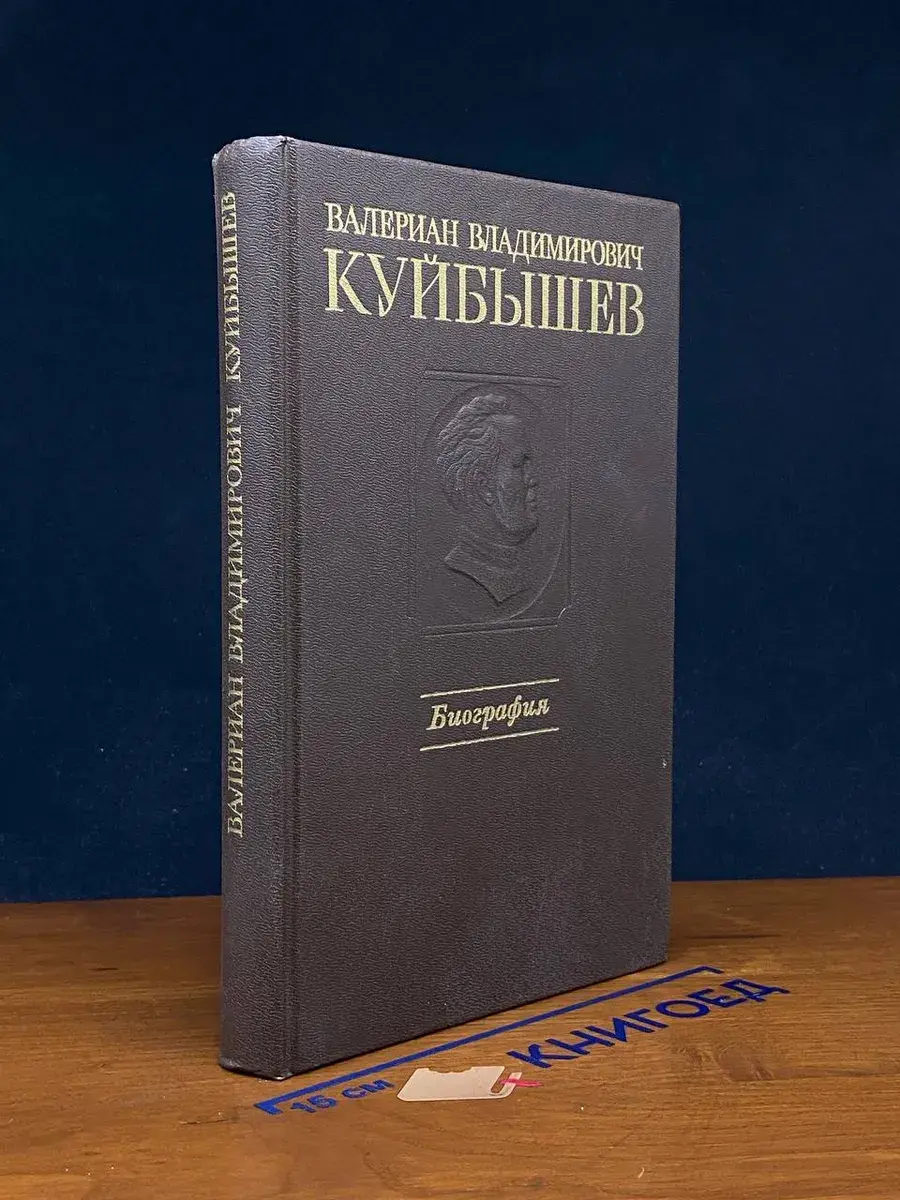 Валериан Владимирович Куйбышев. Биография