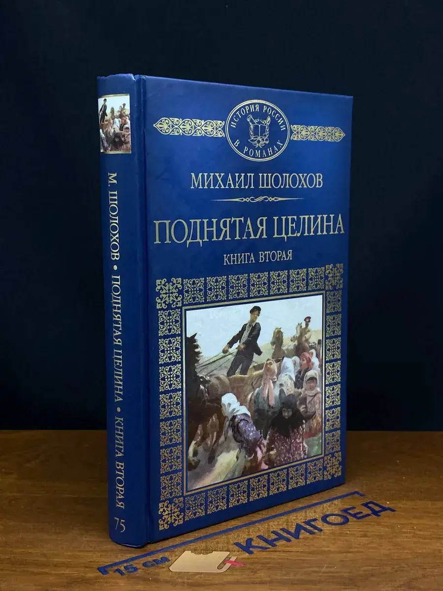 Поднятая целина. Книга 2