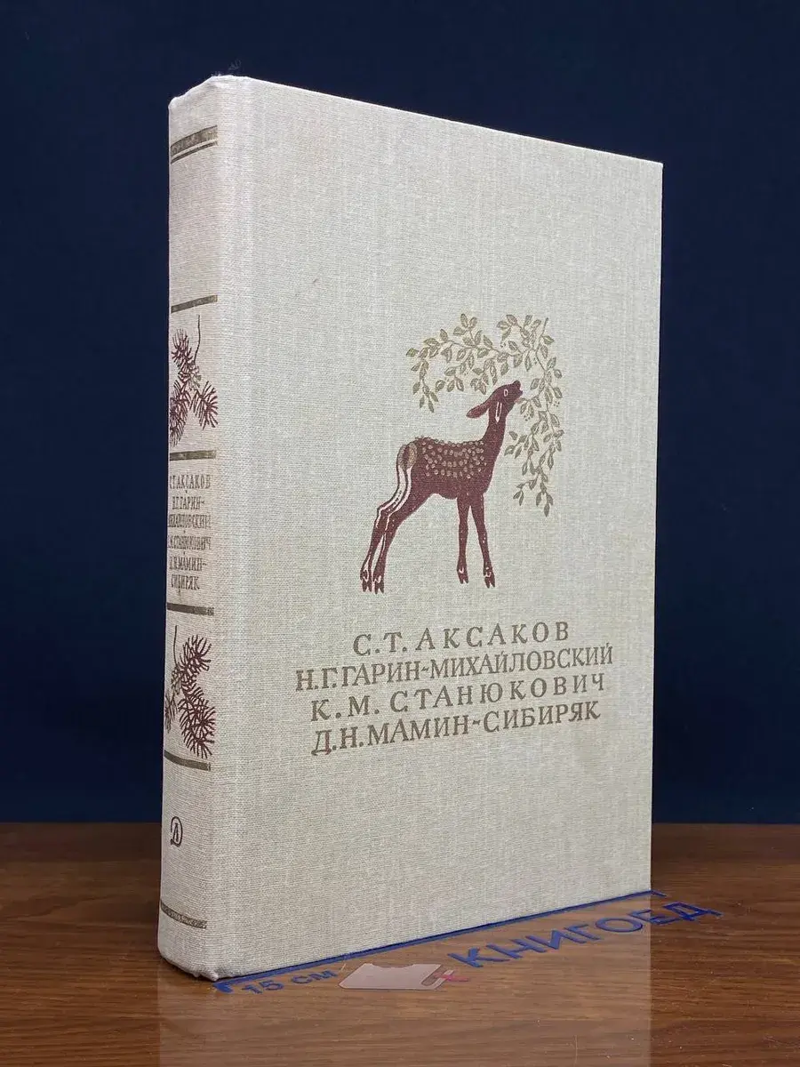 Детские годы Багрова-внука. Детство Темы