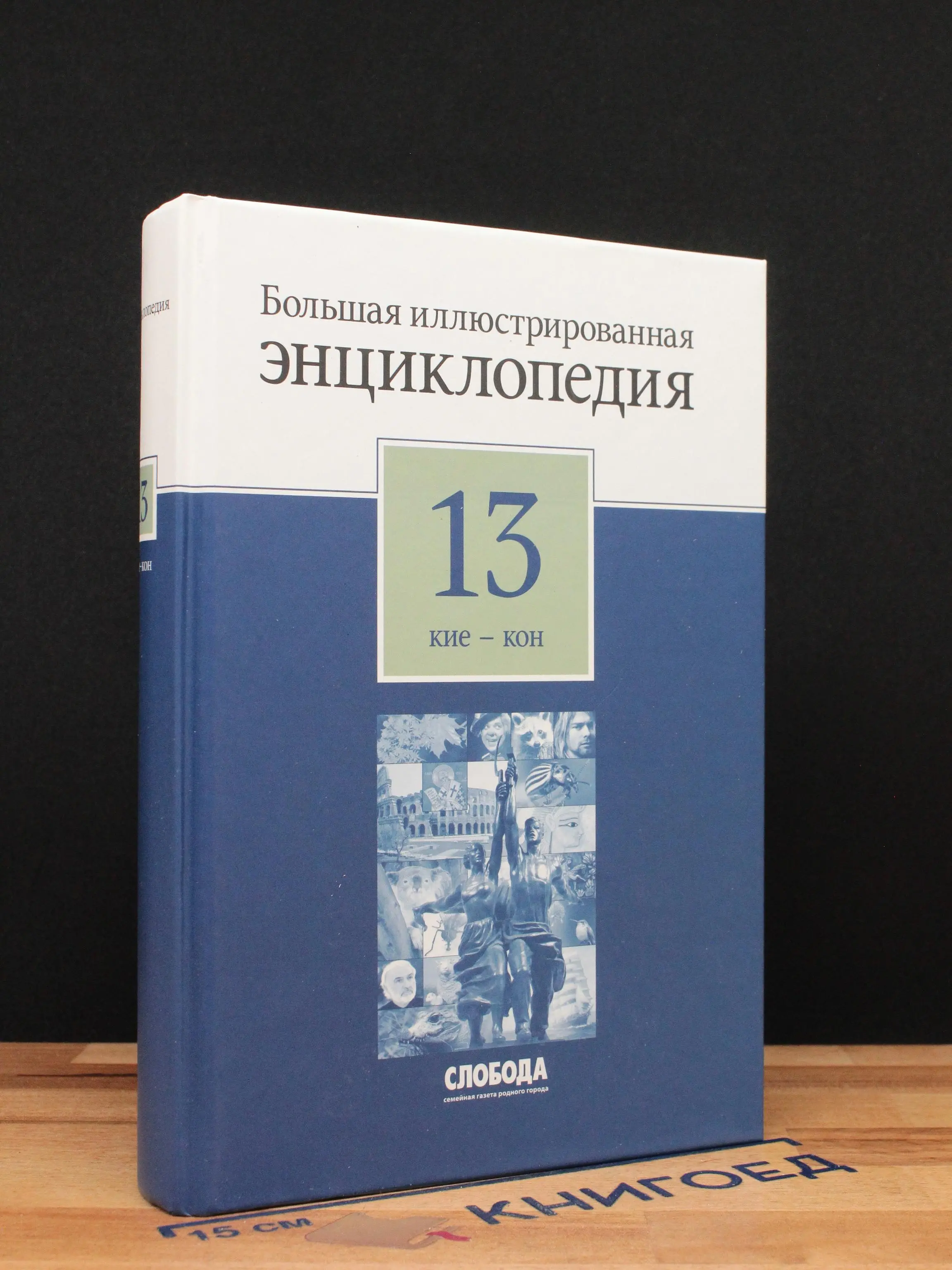Большая иллюстрированная энциклопедия в 32 томах. Том 13