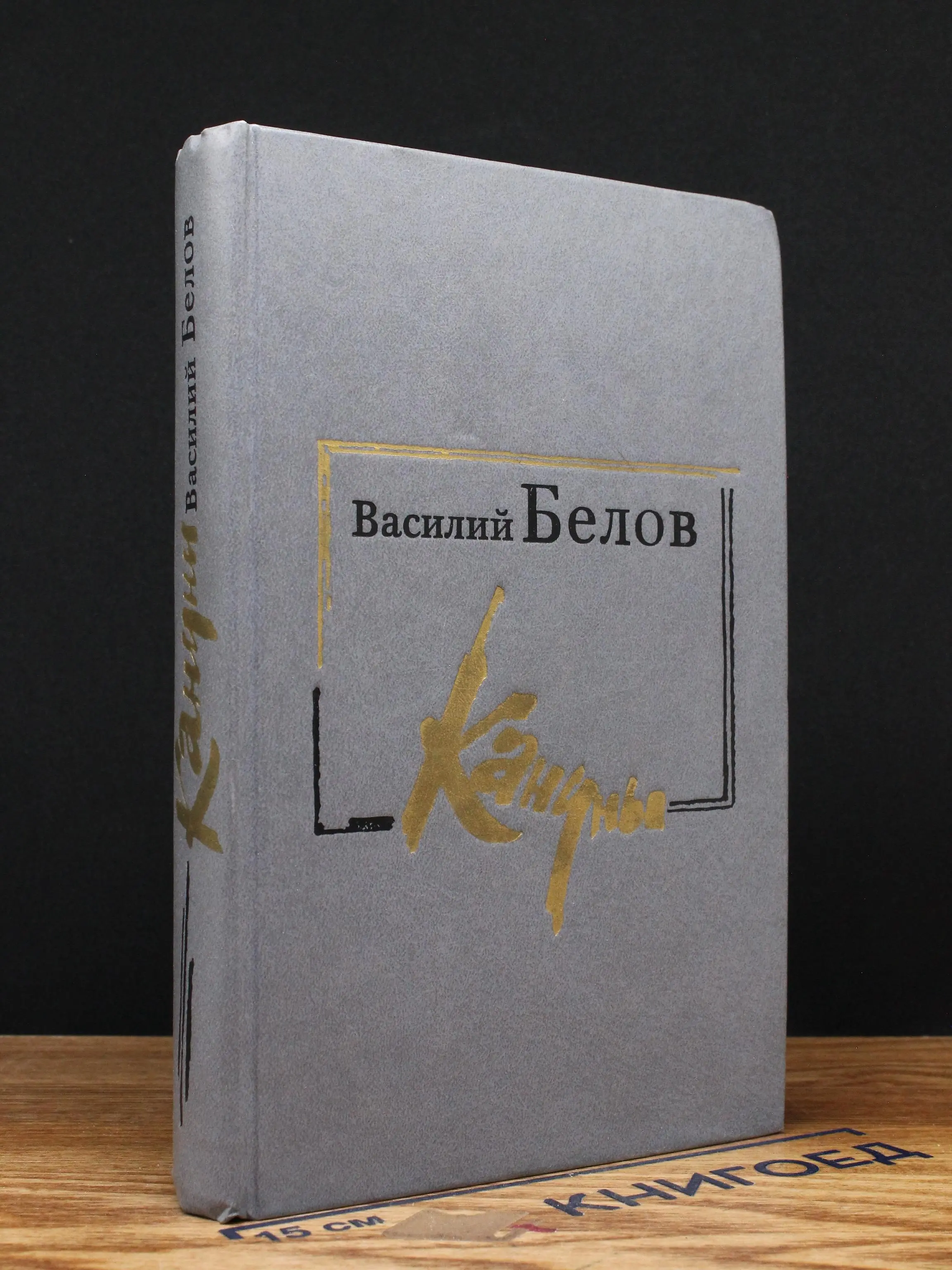 Кануны. Хроника конца 20-х годов