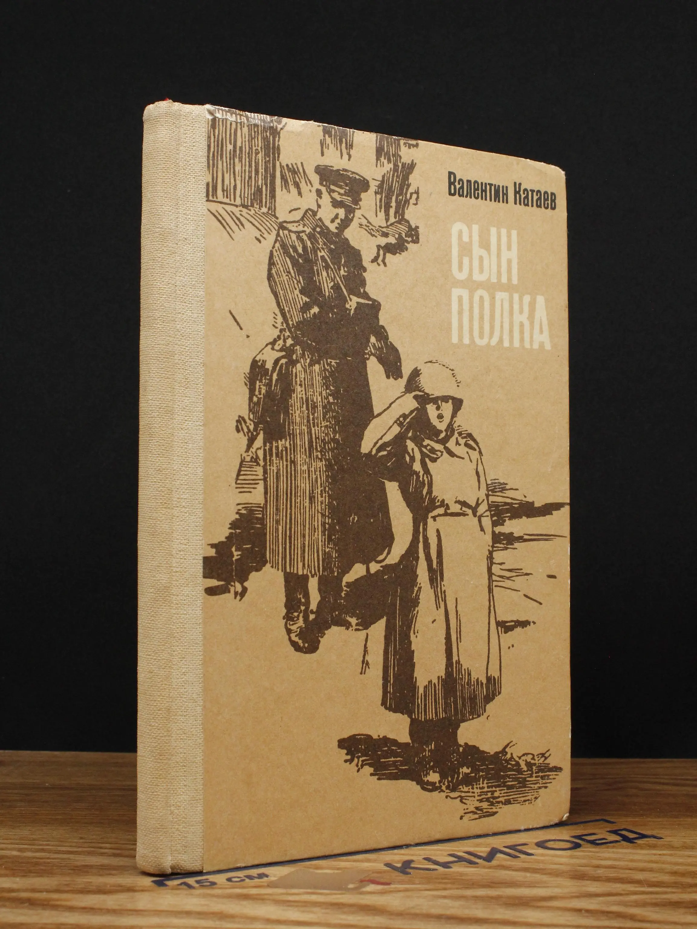 Сын полка