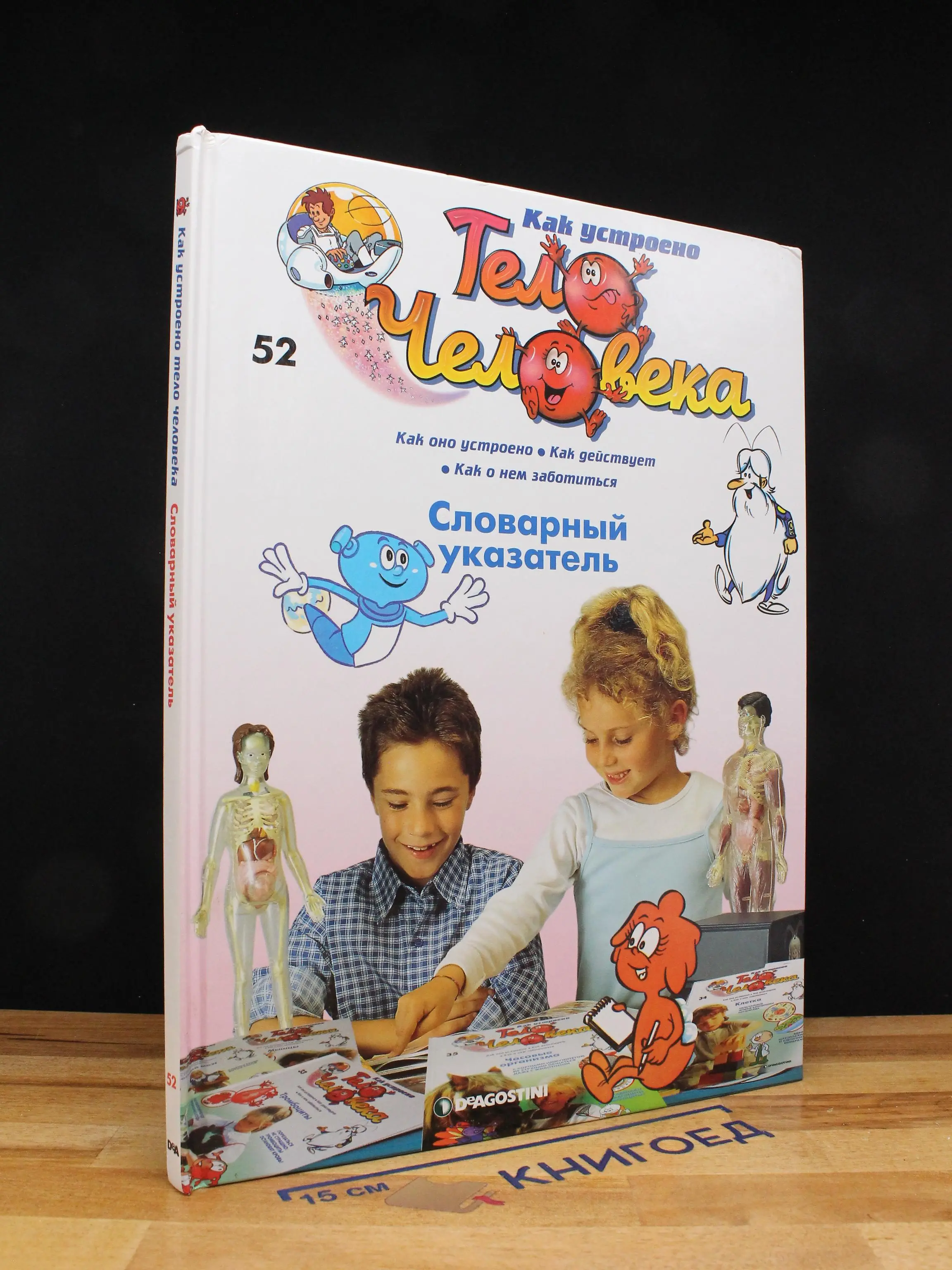 Как устроено тело человека. Выпуск 52. Словарный указатель