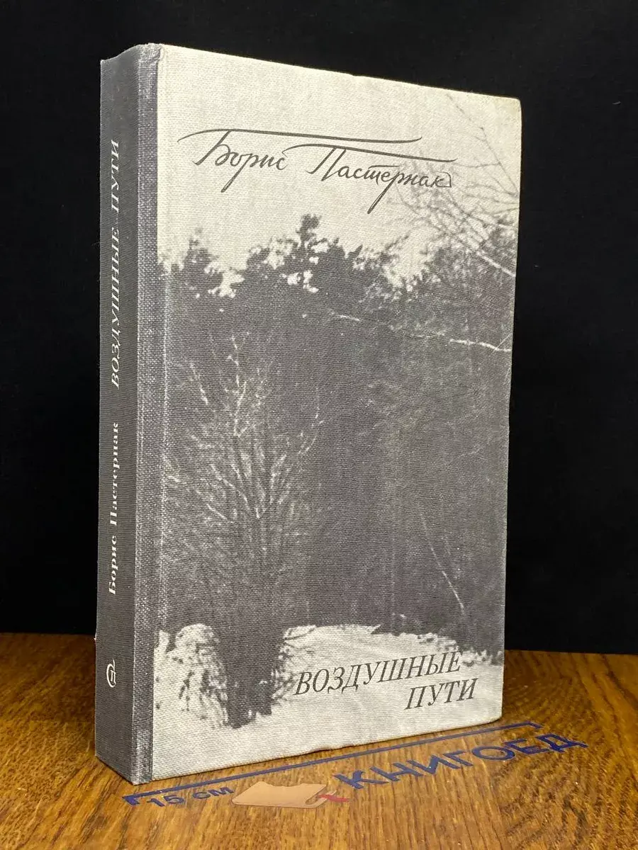 Воздушные пути
