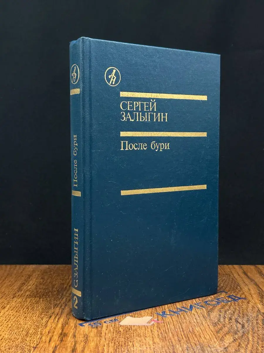 После бури. Книга 2