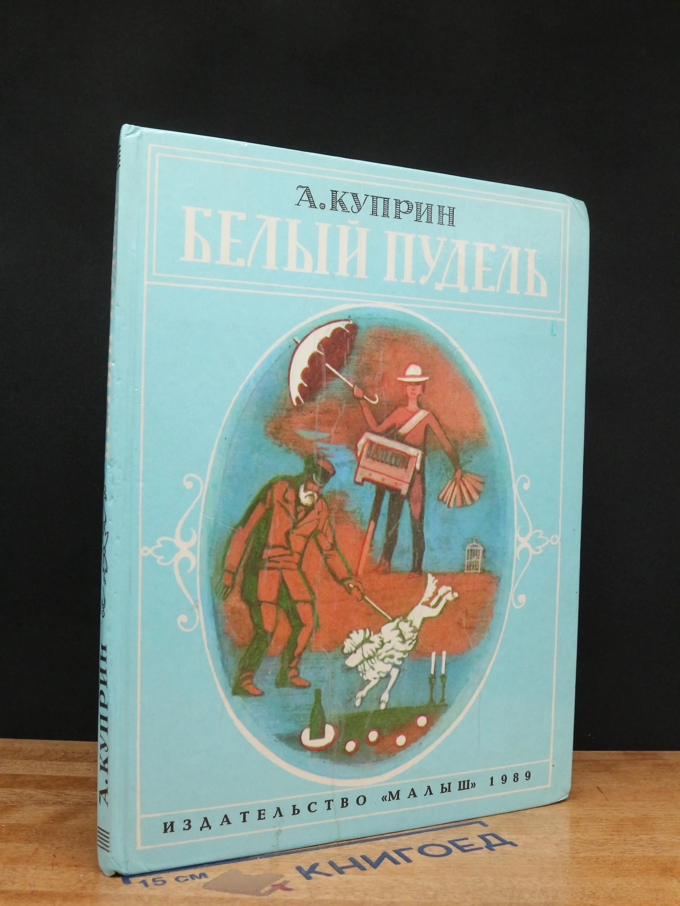 Белый пудель