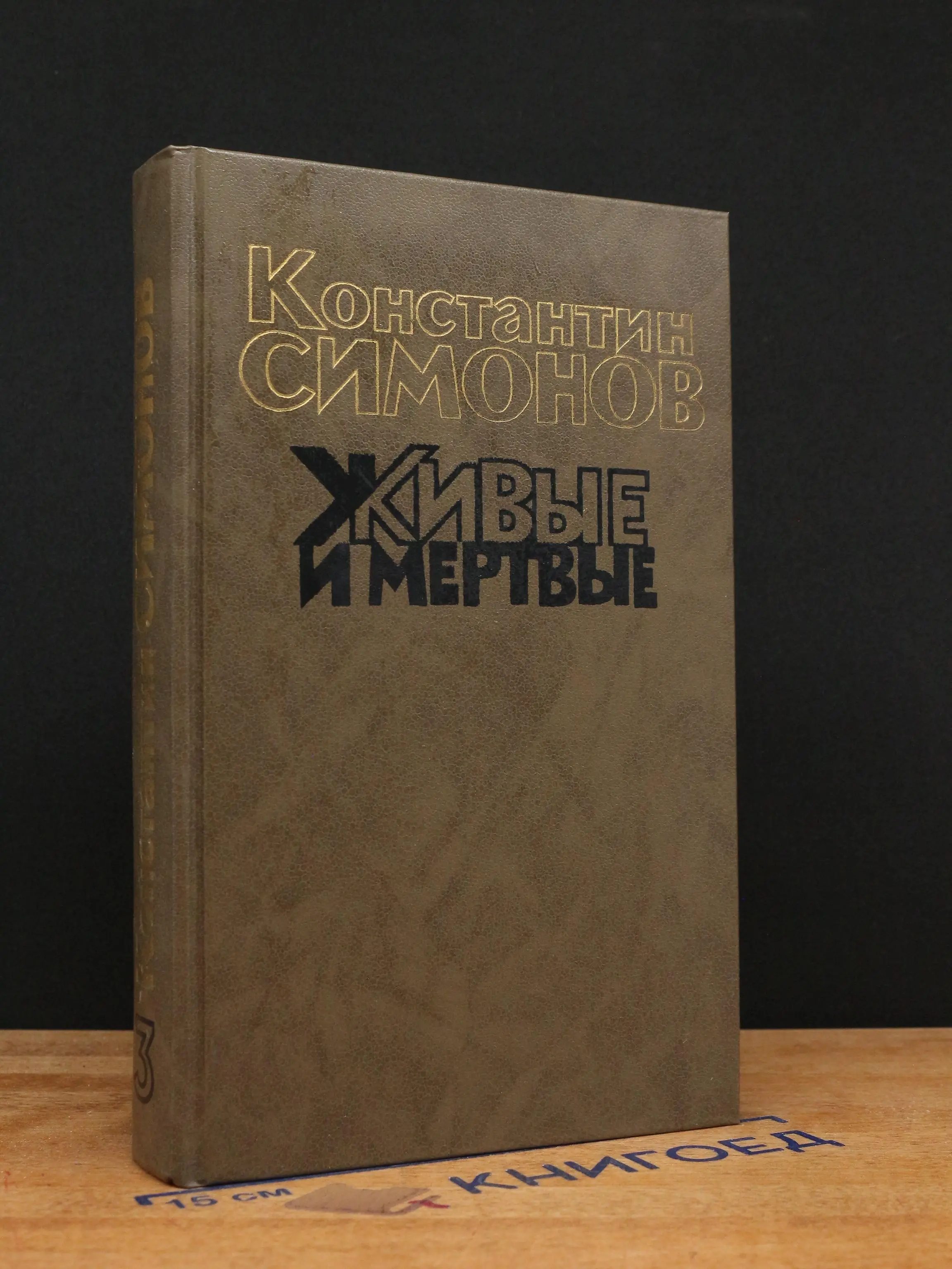 Живые и мёртвые. Книга 3. Последнее лето
