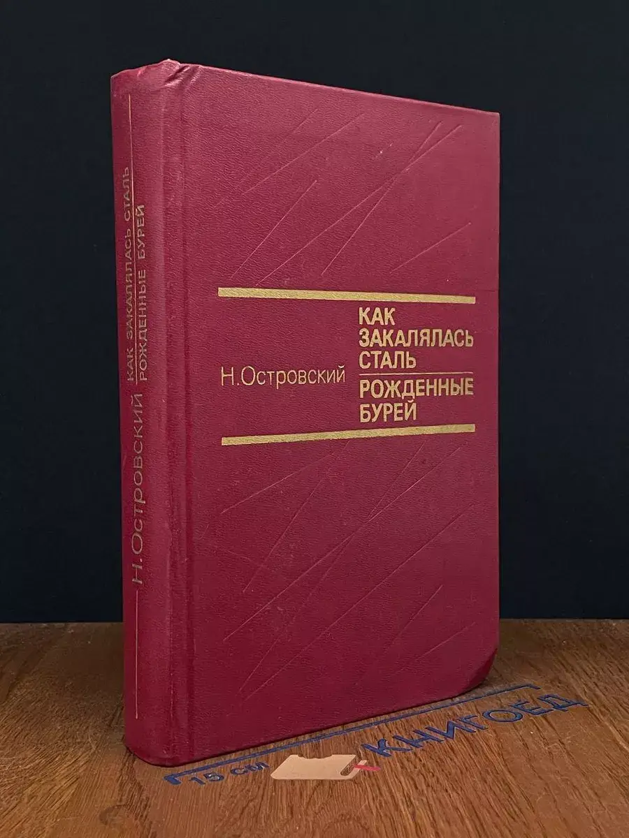 Как закалялась сталь. Рожденные бурей
