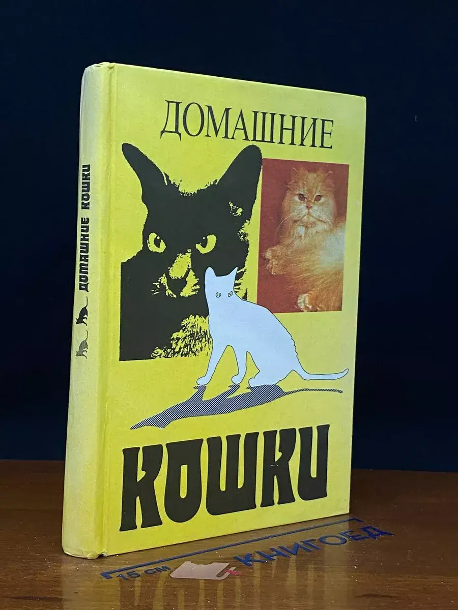 Домашние кошки