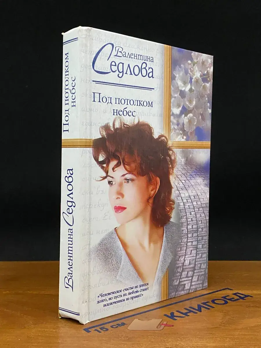 Под потолком небес