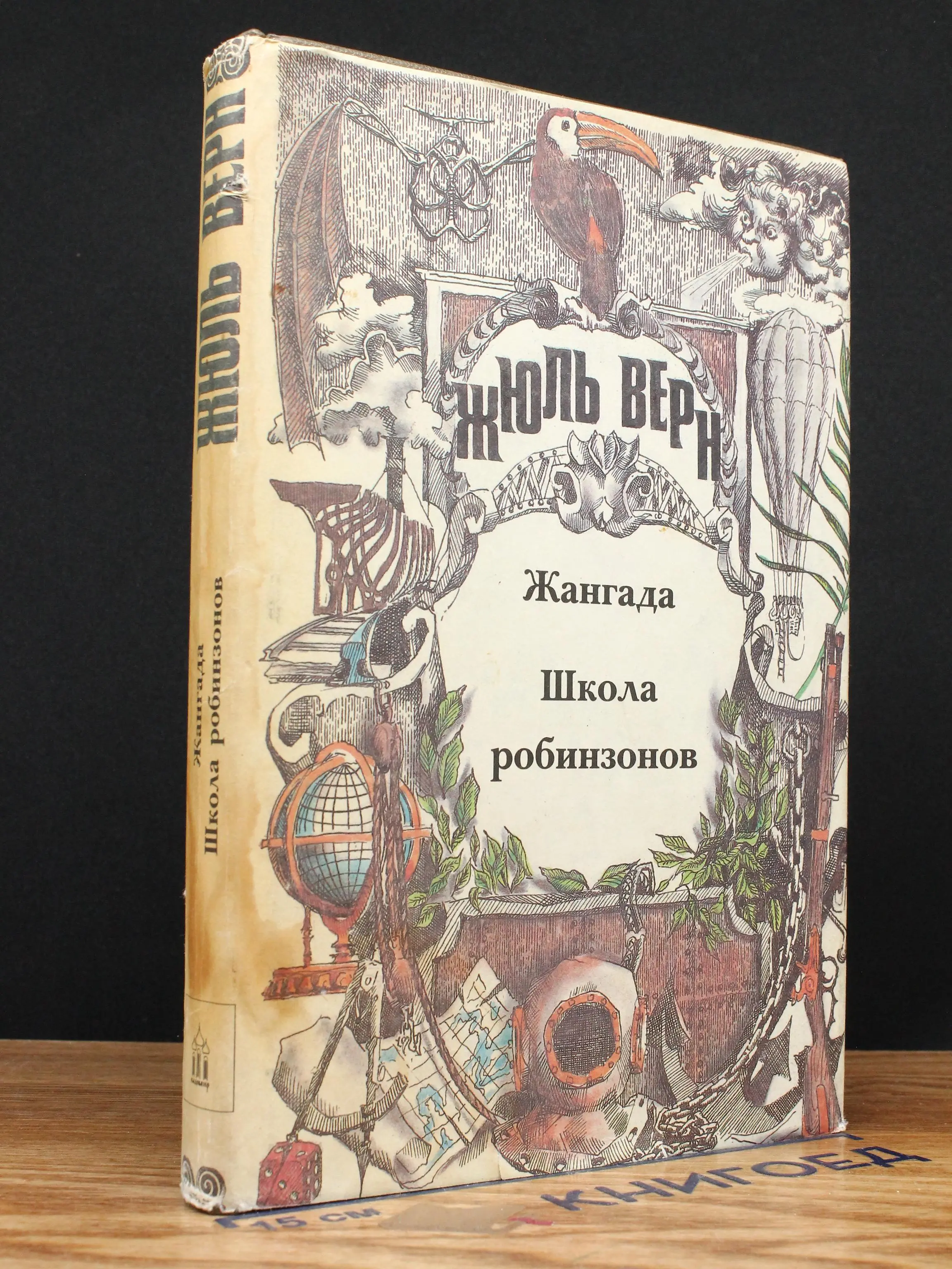 Жангада. Школа робинзонов