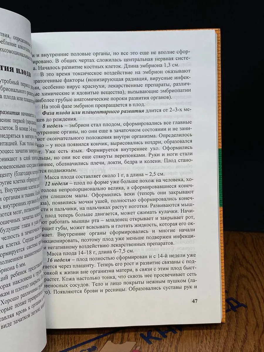 Фото 4