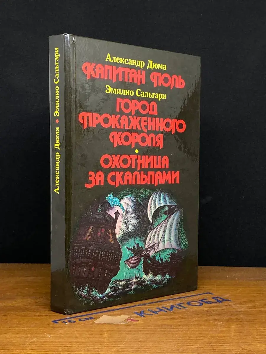 Капитан Поль. Город прокаженного короля
