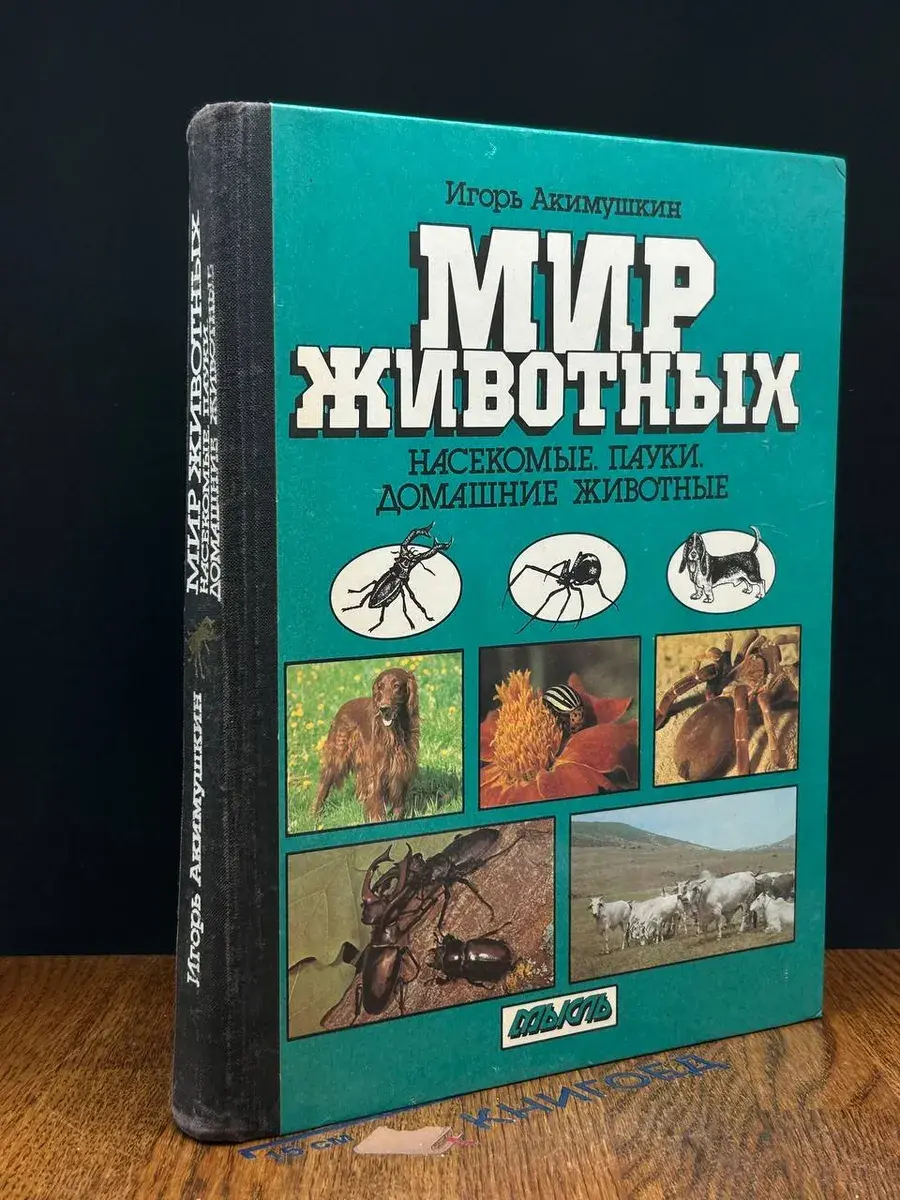 Мир животных. Насекомые. Пауки