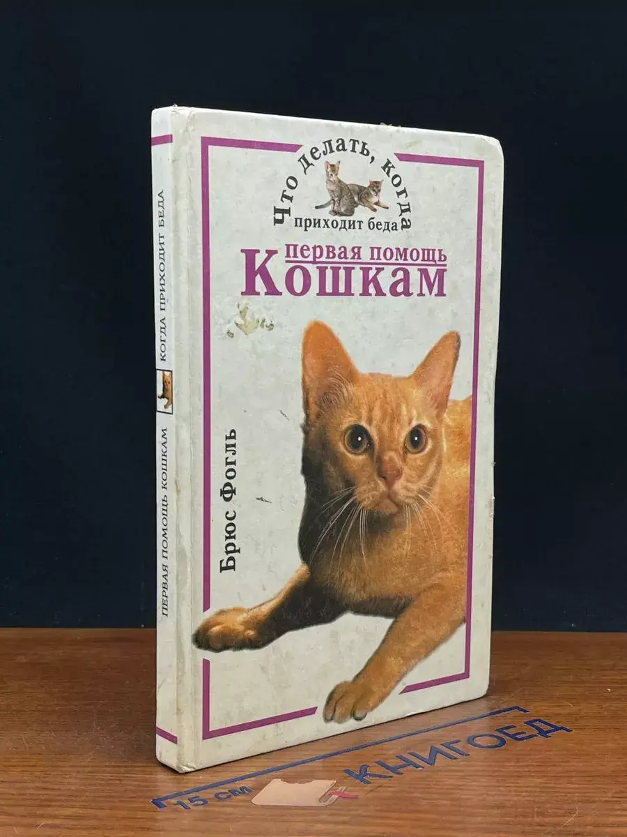 Первая помощь кошкам. Что делать, когда приходит беда