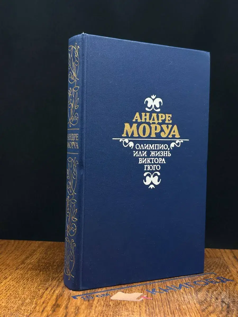 Олимпио, или жизнь Виктора Гюго