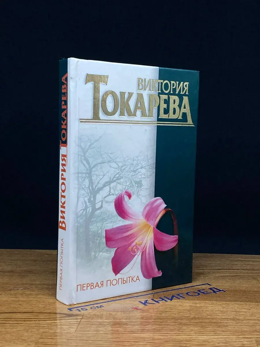 Первая попытка