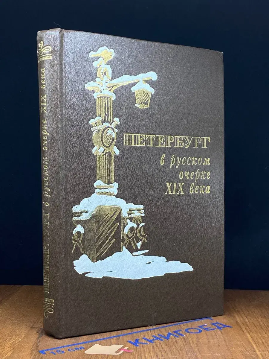 Петербург в русском очерке XIX века