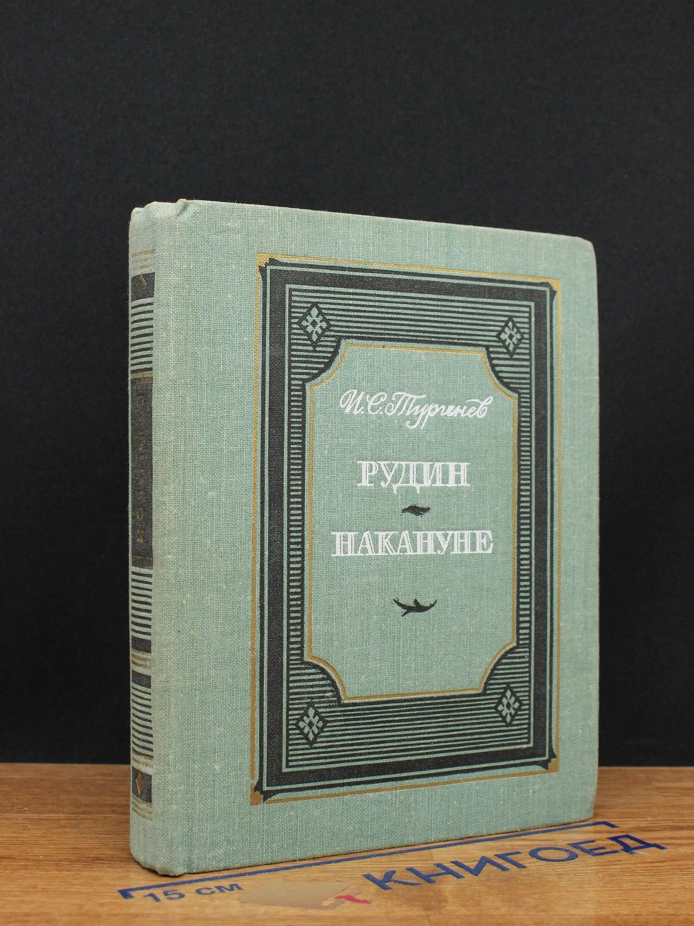 Рудин. Накануне