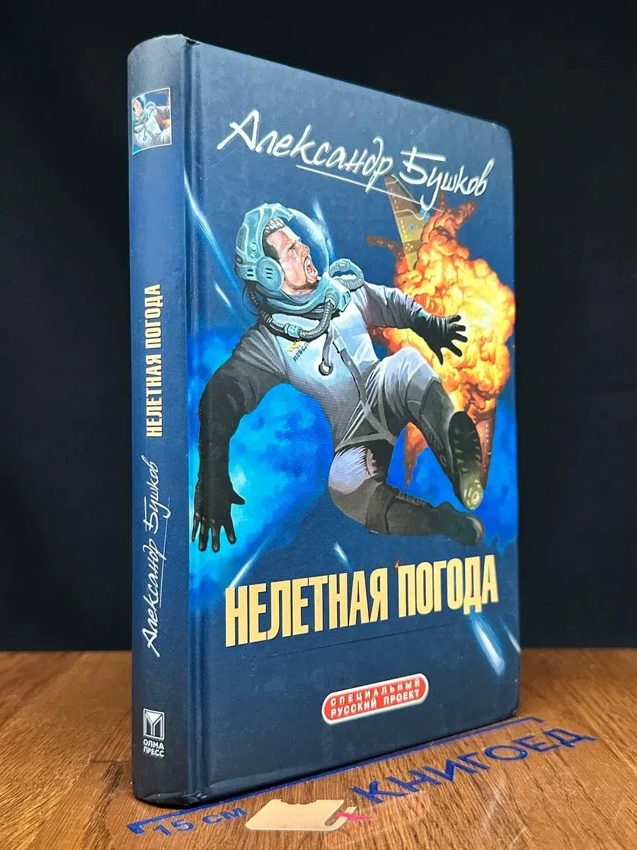 Нелетная погода