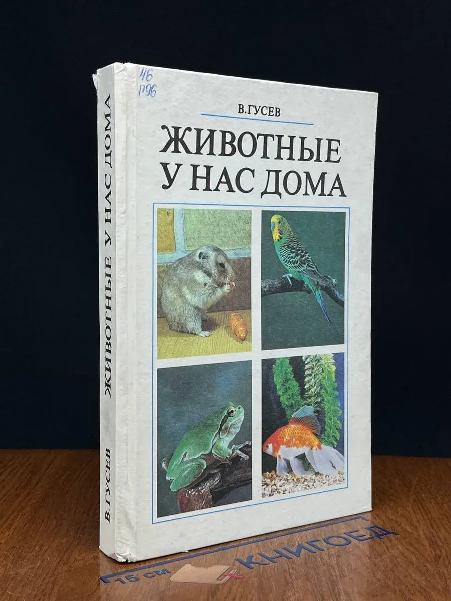 Животные у нас дома