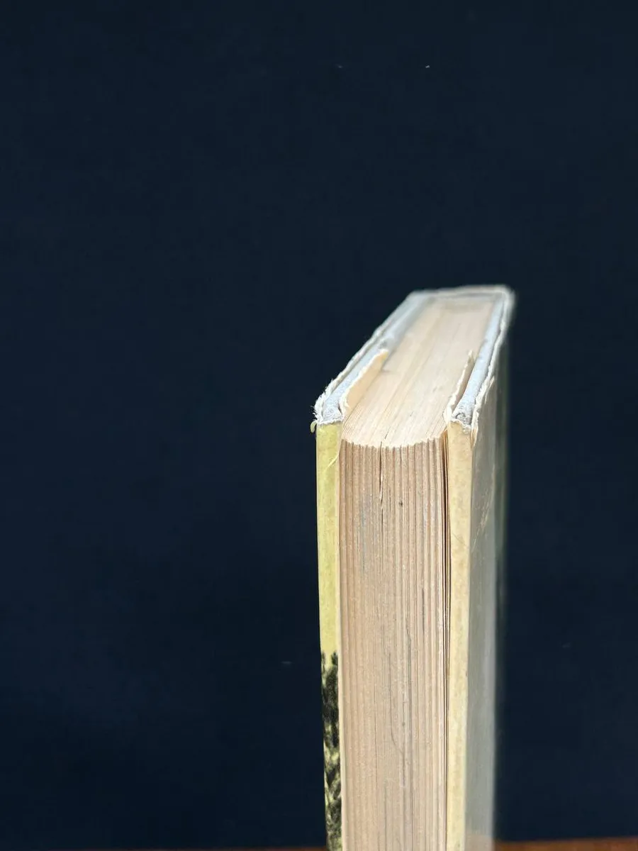 Фото 5