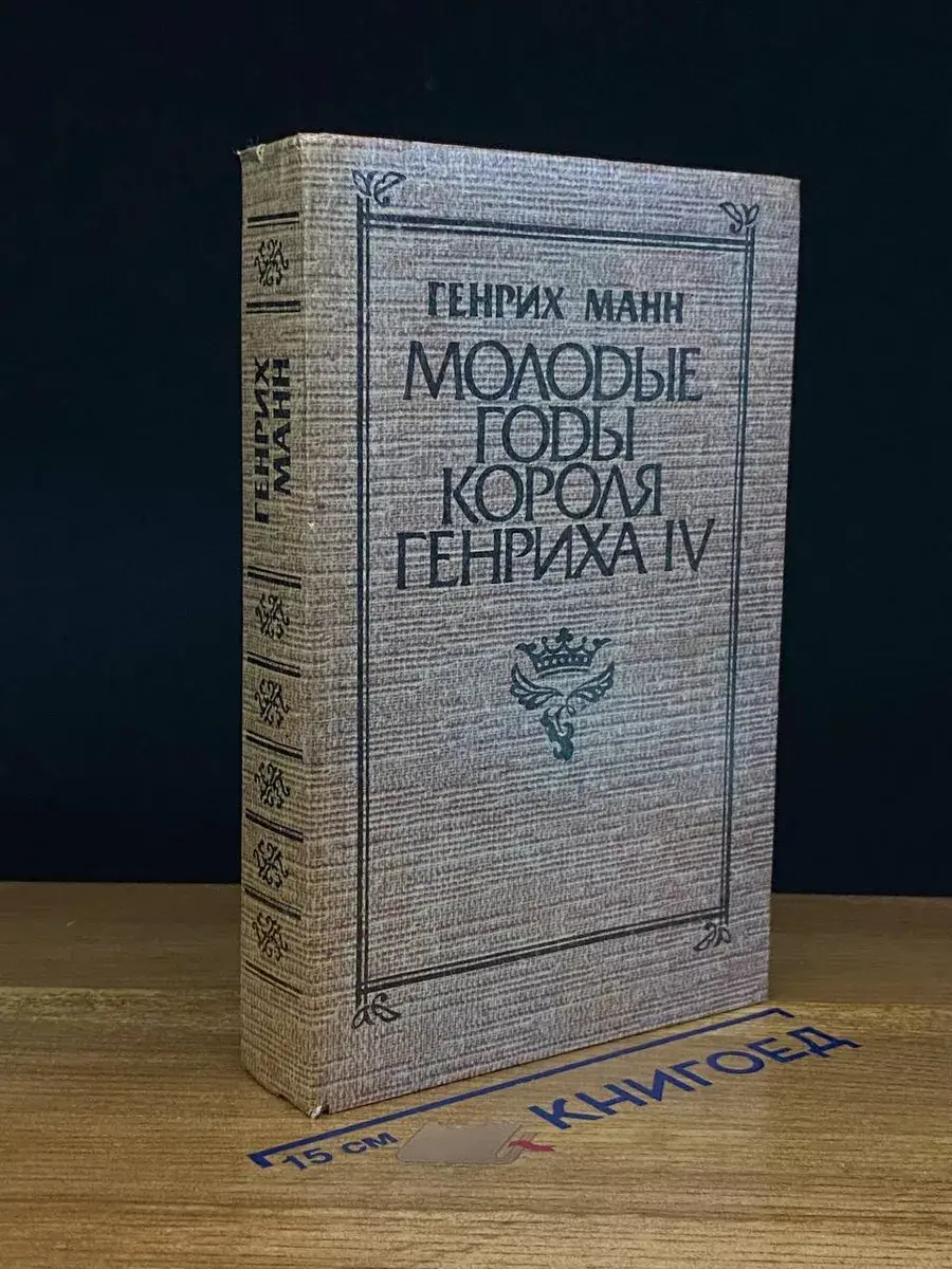 Молодые годы короля Генриха IV