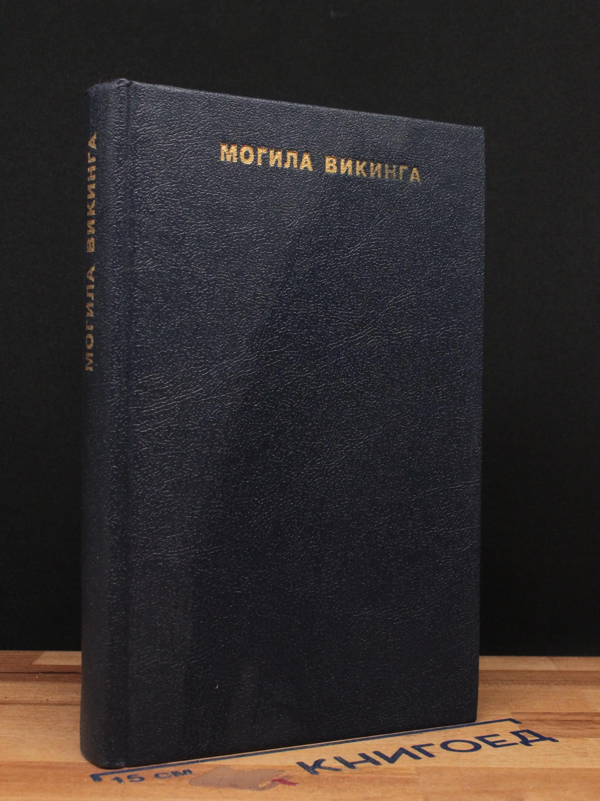 Могила викинга. На дальнем западе. Лазутчик