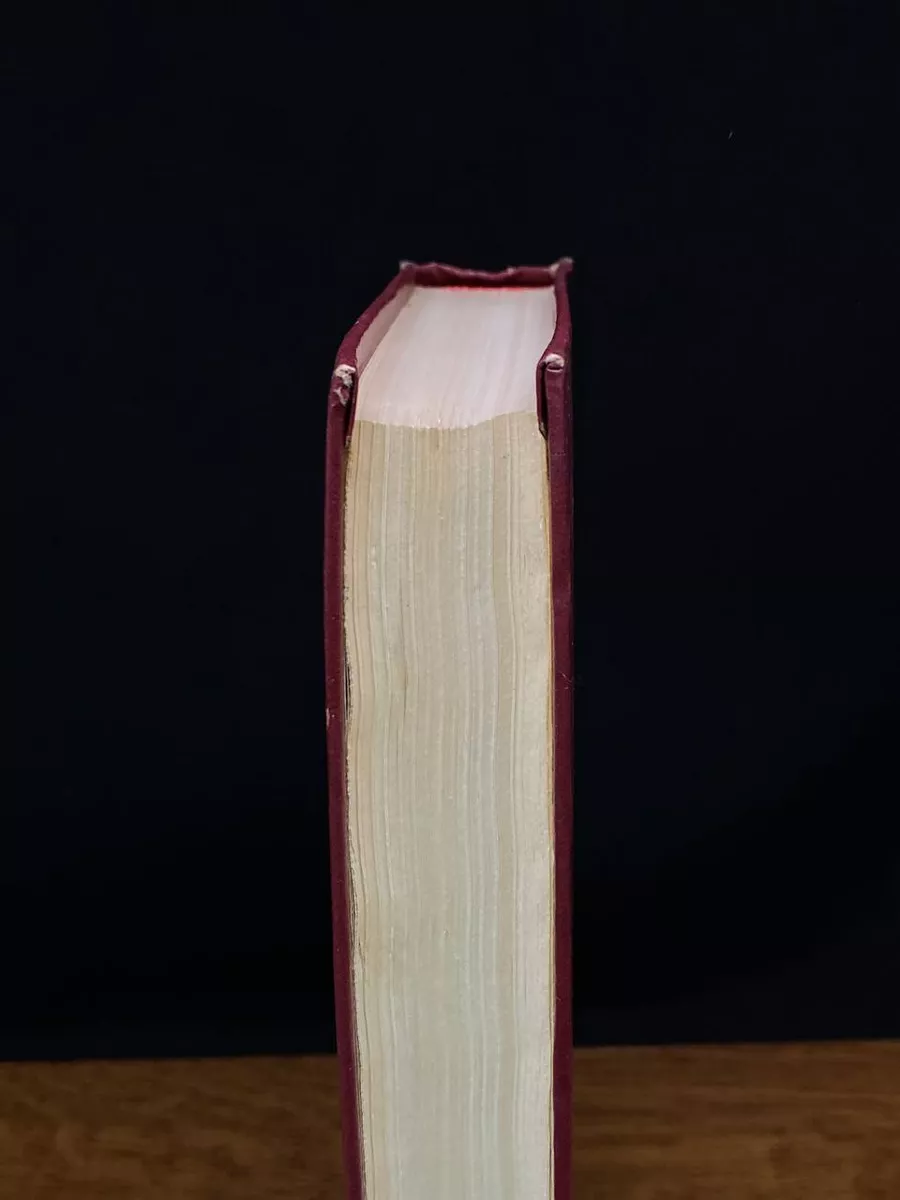 Фото 5