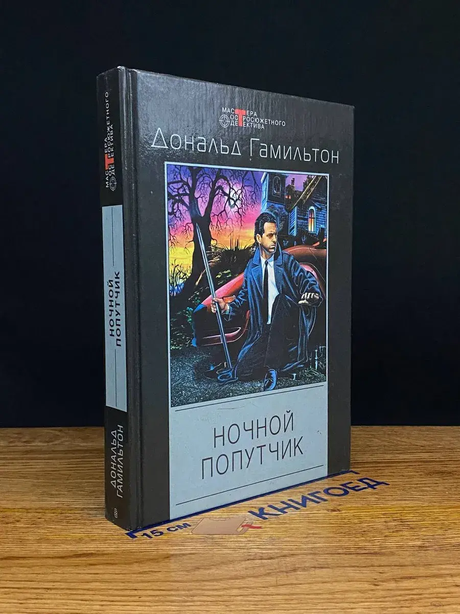 Ночной попутчик