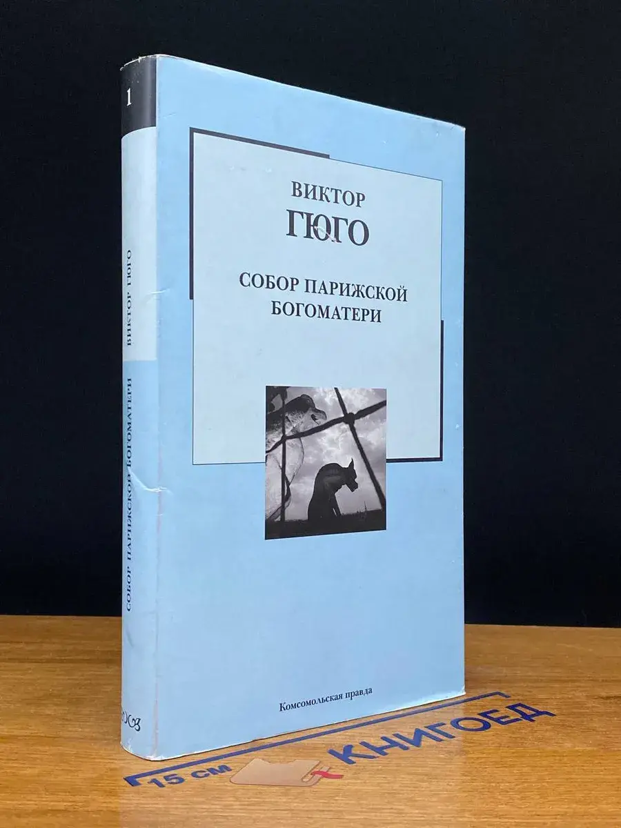 Собор Парижской Богоматери