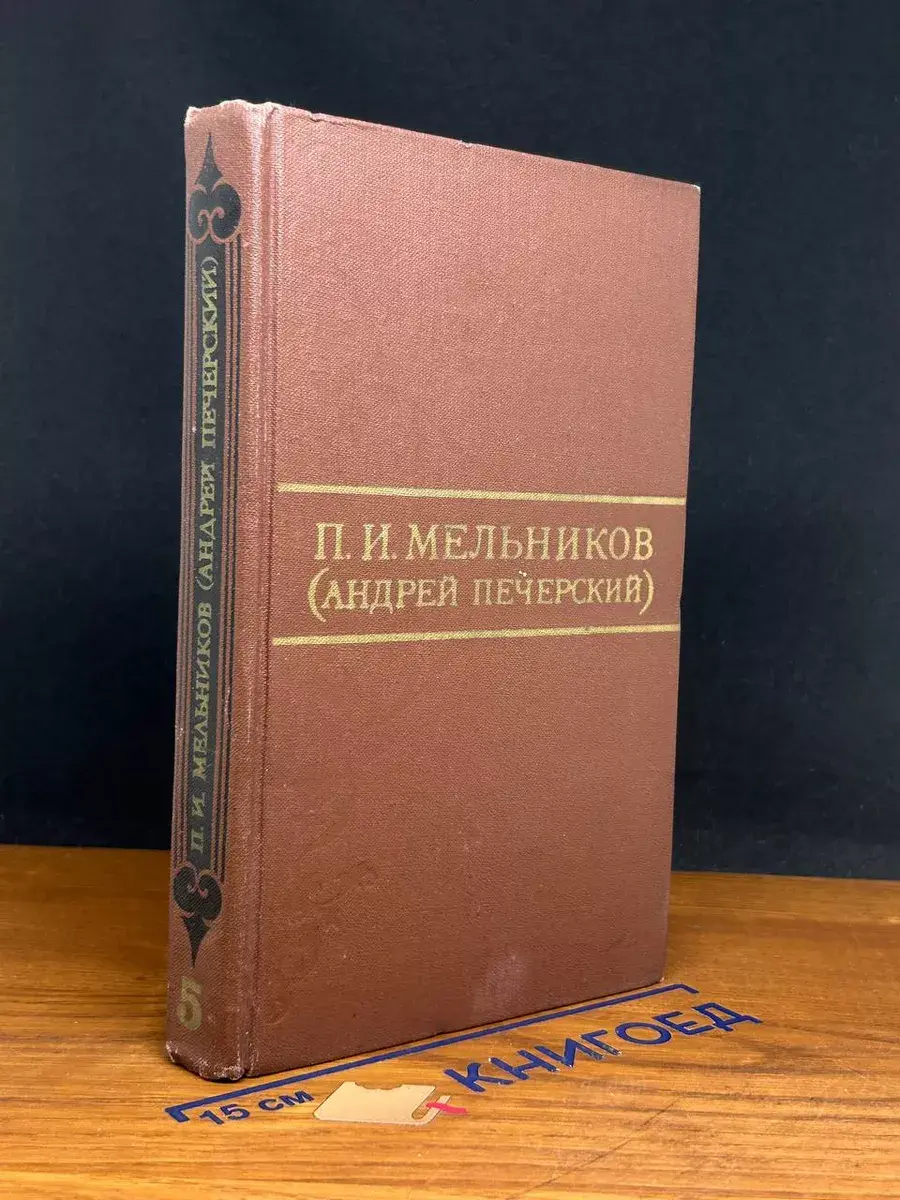 П. И. Мельников. Том 5