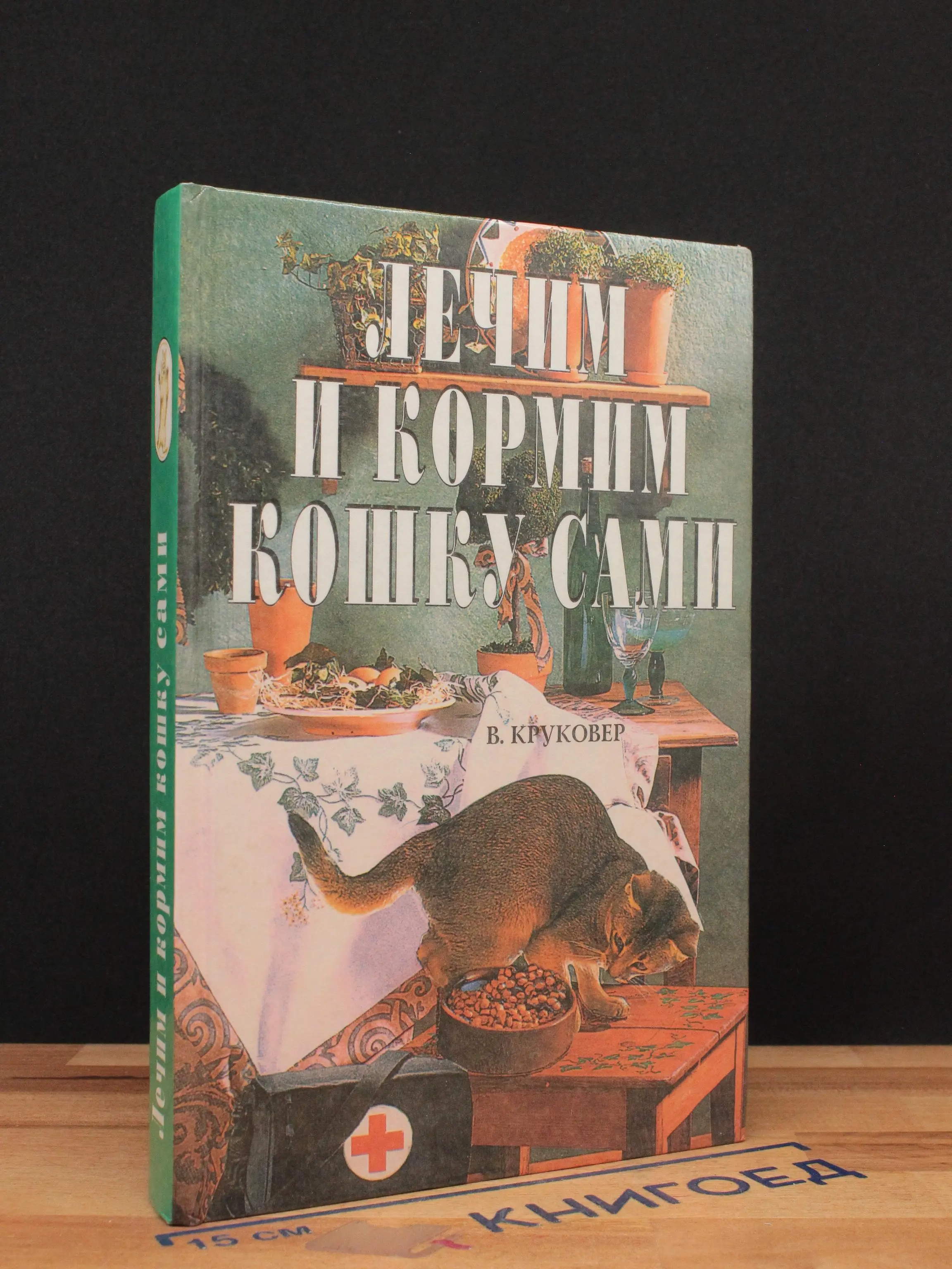 Лечим и кормим кошку сами