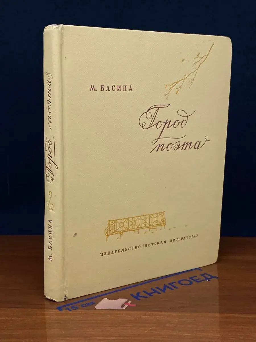 Город поэта